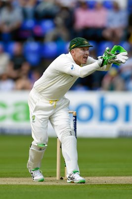 Brad Haddin Australia v England Cardiff 2015