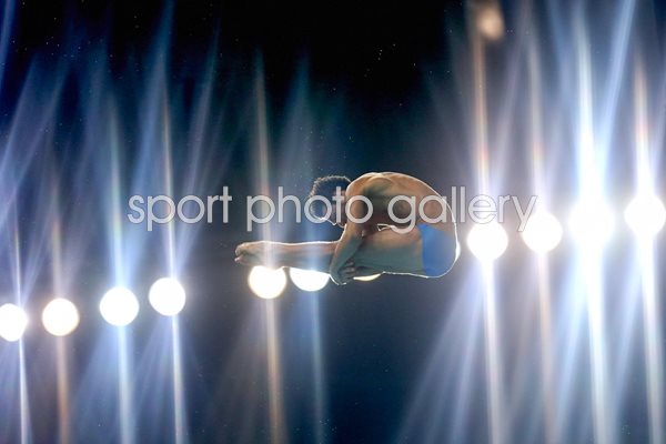 Francesco Dell'Uomo Diving World Series 2014