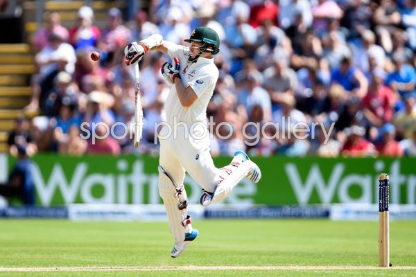 Chris Rogers Australia v England Cardiff 2015