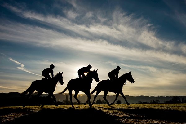 Cheltenham Gallops