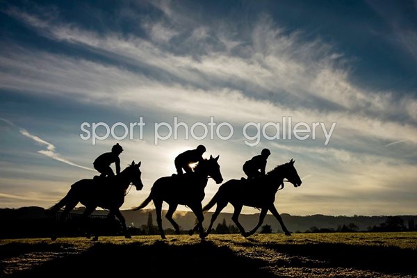 Cheltenham Gallops