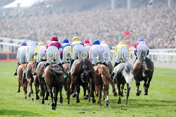 Runners and Riders Cheltenham Festival 2011