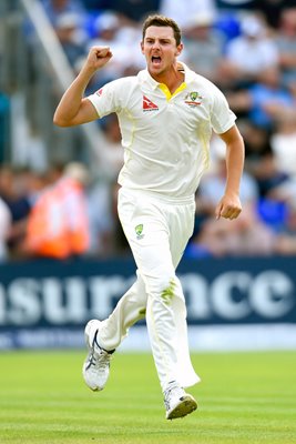 Josh Hazlewood Australia v England Cardiff 2015