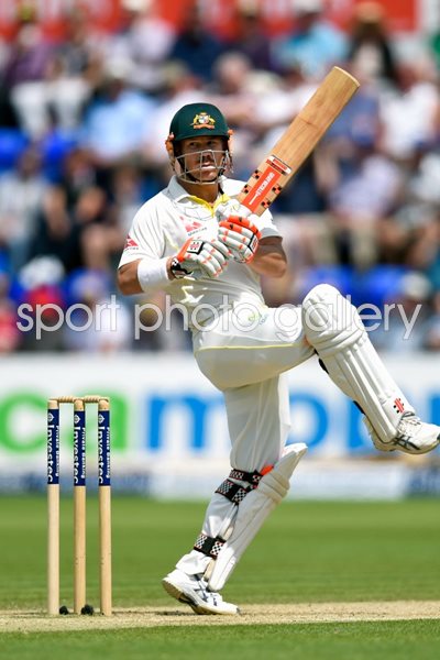 David Warner Australia v England Cardiff 2015