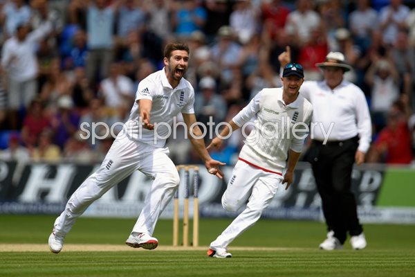 Mark Wood England v Australia Cardiff 2015