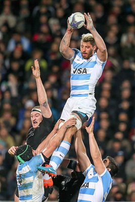 Javier Ortega Argentina v New Zealand 2015