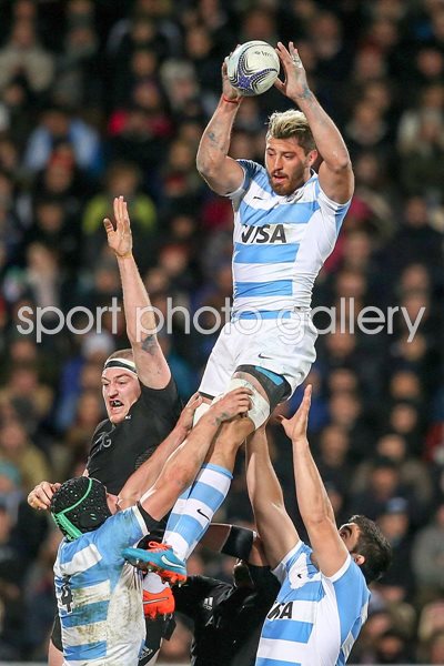 Javier Ortega Argentina v New Zealand 2015