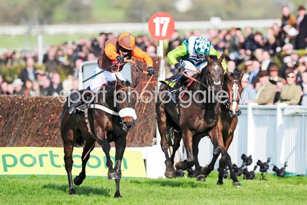 Cheltenham Gold Cup Long Run