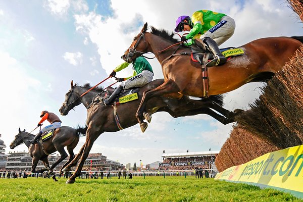 Gold Cup 2011 - Long Run, Kauto Star & Denman