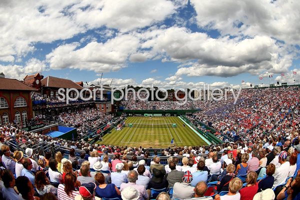 Andy Murray Great Britain v France 2015