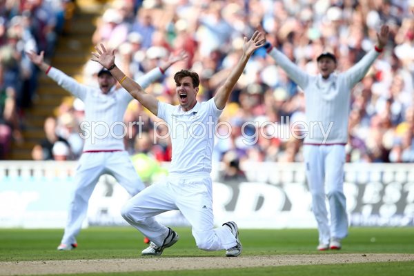 Steven Finn appeals England v Australia Ashes 2015
