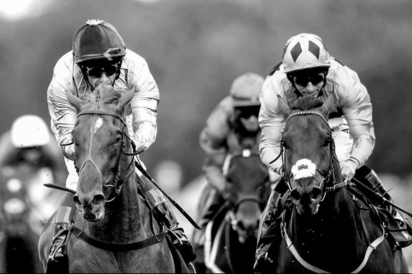  Goodwood Races Frankie Dettori B&W