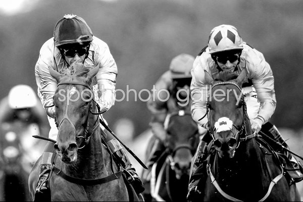  Goodwood Races Frankie Dettori B&W