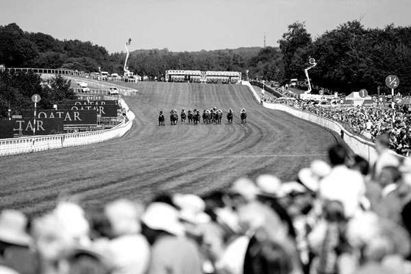  Goodwood Races Near the Finish BW