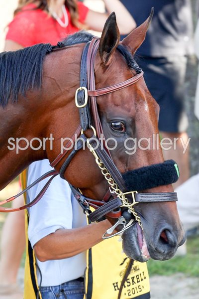 American Pharoah Haskell Invitational Monmouth Park 2015