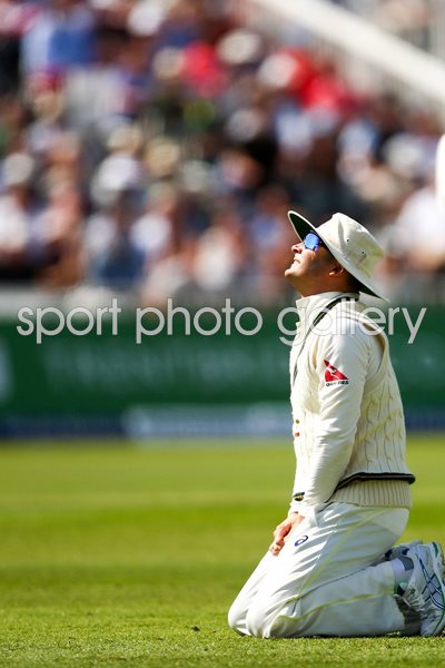 Michael Clarke Australia Despair Trent Bridge Ashes 2015