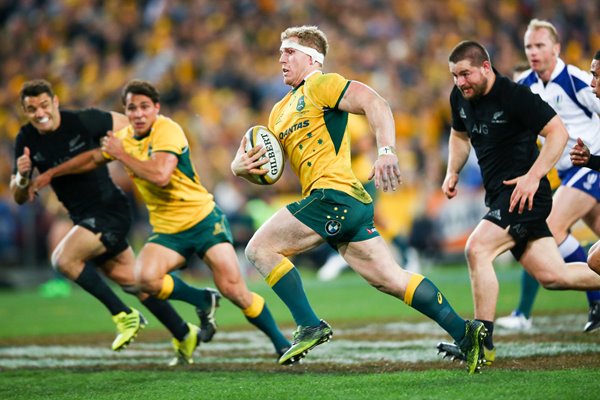 David Pocock Australia v New Zealand Sydney 2015