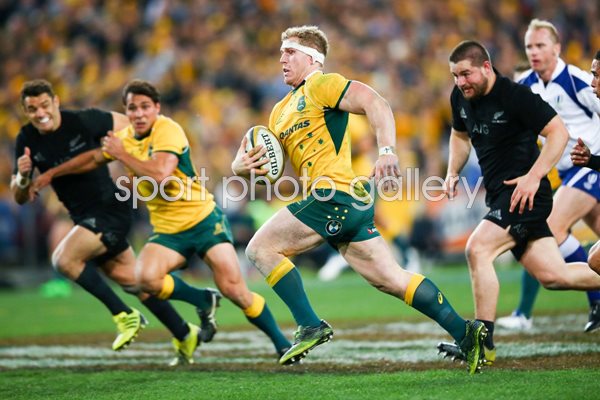 David Pocock Australia v New Zealand Sydney 2015