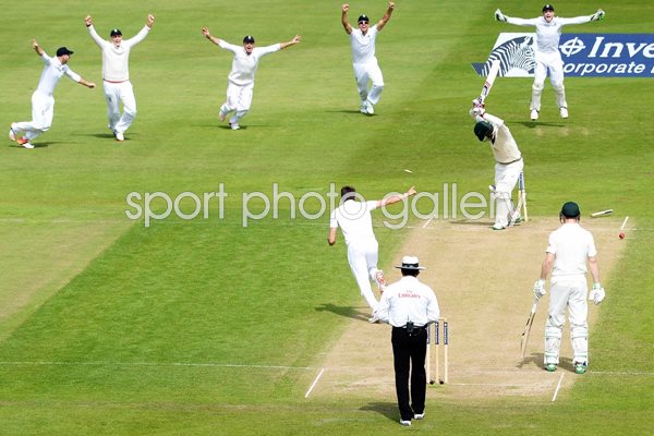  Ashes 2015 Moment of Victory Wood bowls Lyon