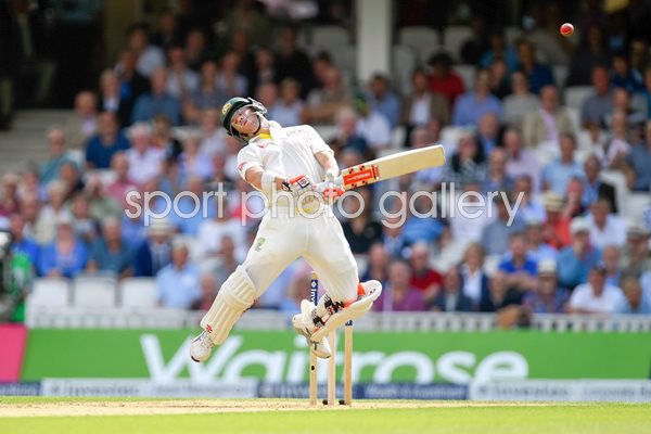 David Warner Australia v England Oval 2015