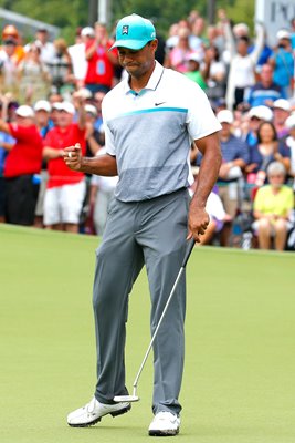 Tiger Woods Wyndham Championship 2015