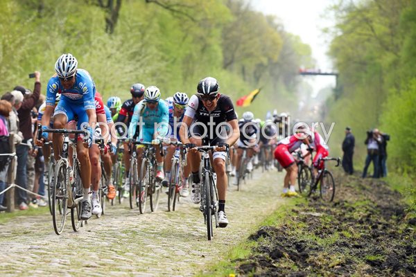 Arenberg Forest  2014 Paris - Roubaix Cycle Race