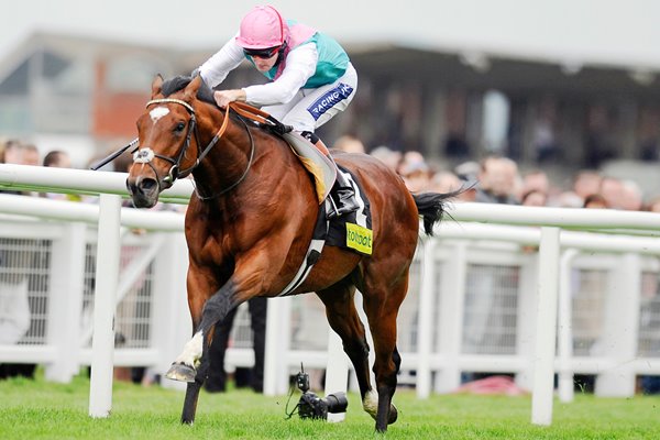 Frankel & Tom Queally Newbury 2011