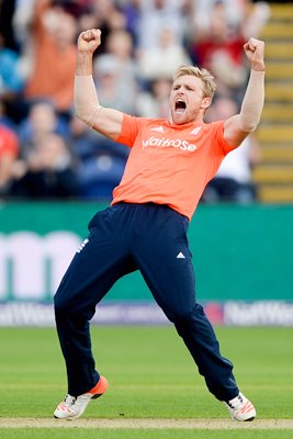 David Willey England v Australia T20 Cardiff 2015