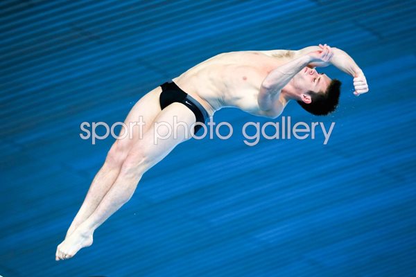 David Boudia World Series 2014