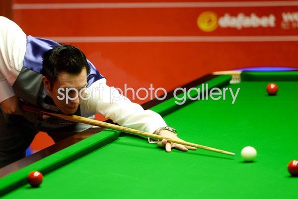 Dominic Dale World Snooker Championship 2014
