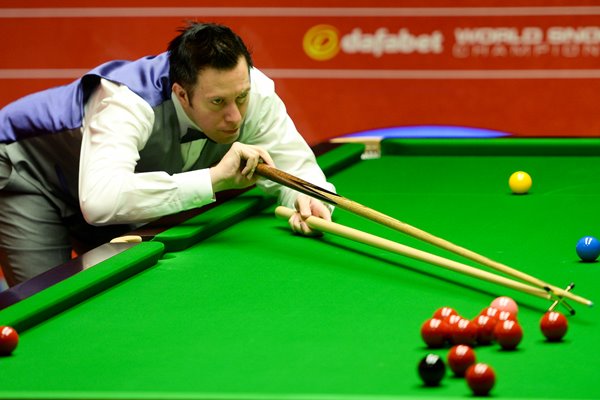 Dominic Dale World Snooker Championship 2014