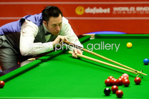 Dominic Dale World Snooker Championship 2014