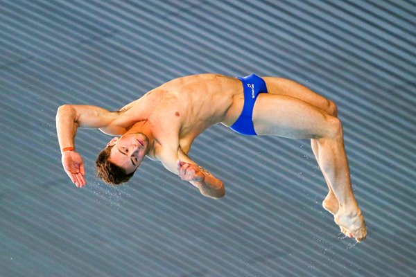 Tom Daley World Series 2014