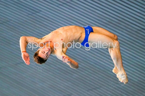 Tom Daley World Series 2014
