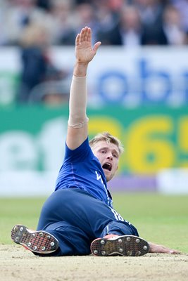 David Willey appeals England v Australia Headingley 2015