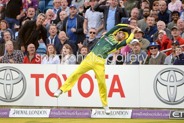 Glenn Maxwell Australia Boundary Catch Headingley 2015