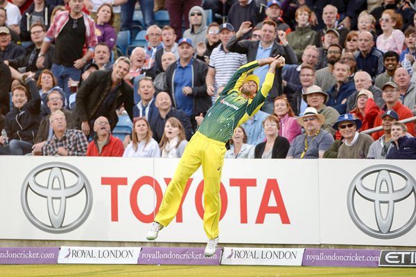 Glenn Maxwell Australia Boundary Catch Headingley 2015