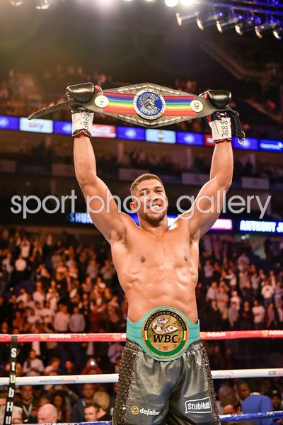 Anthony Joshua beats Gary Cornish O2 Arena 2015