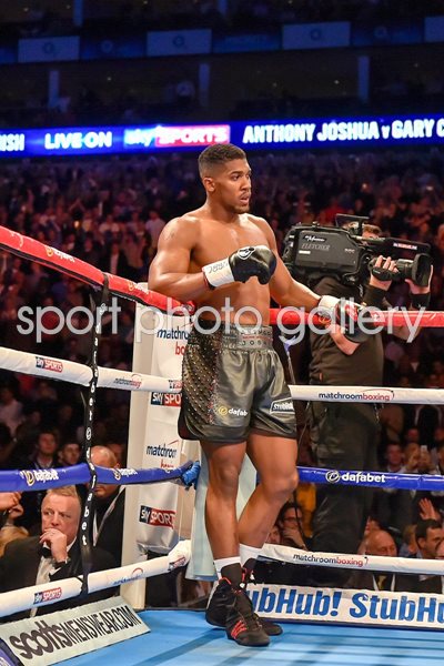 Anthony Joshua beats Gary Cornish O2 Arena 2015