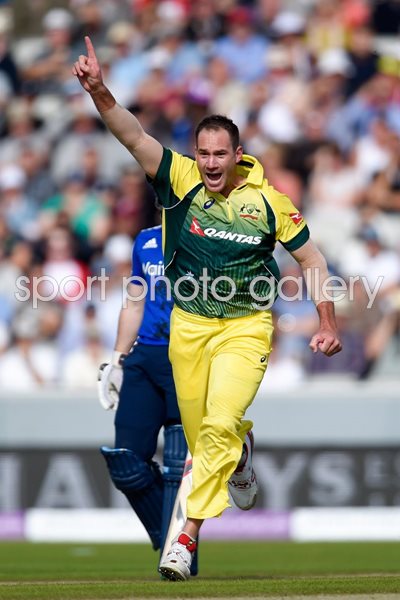 John Hastings Australia v England Old Trafford ODI 2015