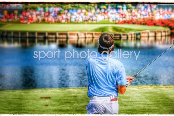 Bubba Watson USPGA Tour 2014