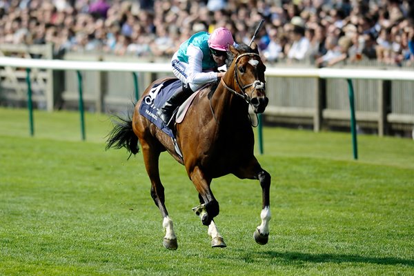 Frankel wins 2000 Guineas Newmarket 2011