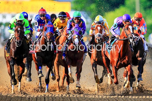139th Preakness Stakes 2014