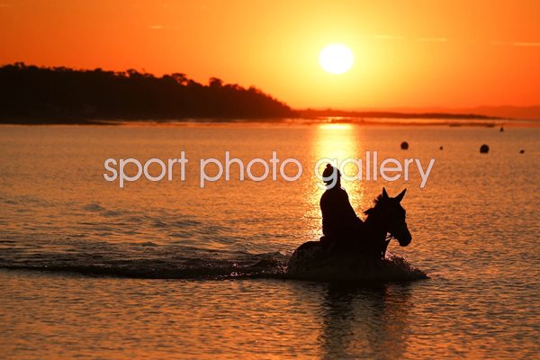  Horse Training On Balnarring Beach