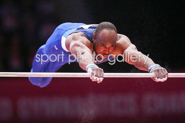 Donnell Whittenburg World Gymnastics Glasgow 2015