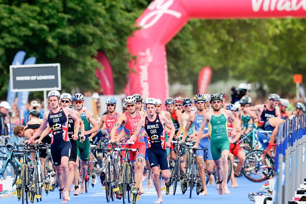 Triathlon Grand Alistair Jonathan Brownlee World Championships 2014