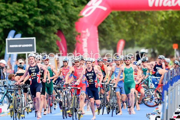 Triathlon Grand Alistair Jonathan Brownlee World Championships 2014