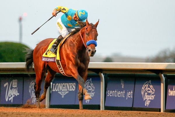 Victor Espinoza American Pharoah Breeders Cup 2015