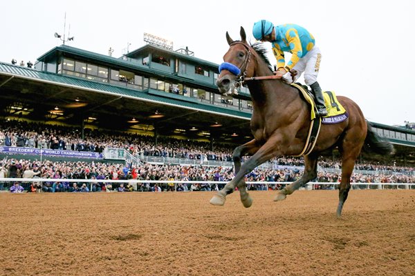 Victor Espinoza American Pharoah Breeders Cup 2015