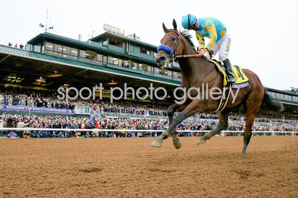 Victor Espinoza American Pharoah Breeders Cup 2015
